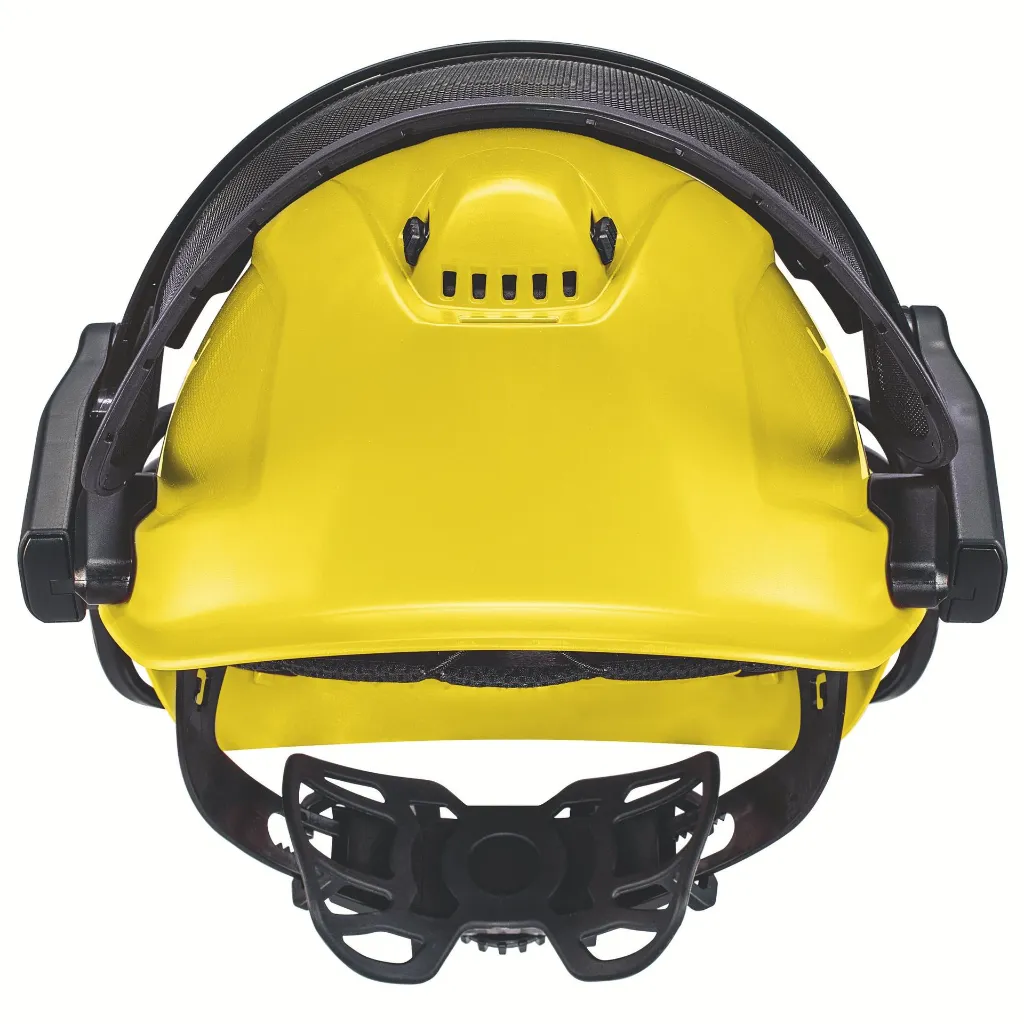 21147956.webp