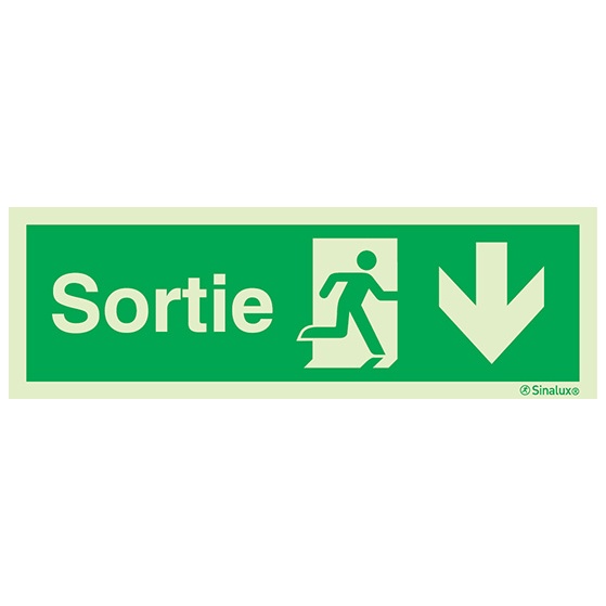 Signalisation à suspendre, évacuation ISO 7010 – flèche bas + texte Sortie, PVC photoluminescent