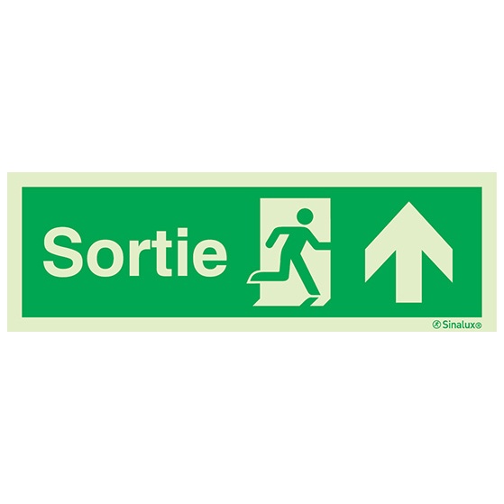 Signalisation à suspendre, évacuation ISO 7010 – flèche haut + texte Sortie, PVC photoluminescent