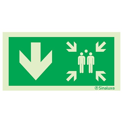 Signalisation drapeau, point de rassemblement – flèche bas, PVC photoluminescent