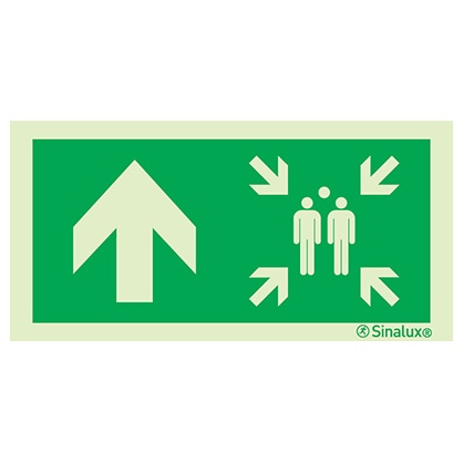 Signalisation une face, point de rassemblement – flèche haut, PVC photoluminescent