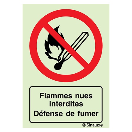 Signalisation une face, flammes nues interdites / défense de fumer – avec texte, PVC photoluminescent