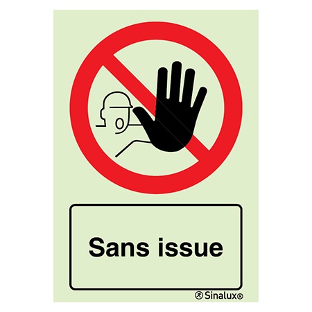 Signalisation une face, sans issue – avec texte, PVC photoluminescent