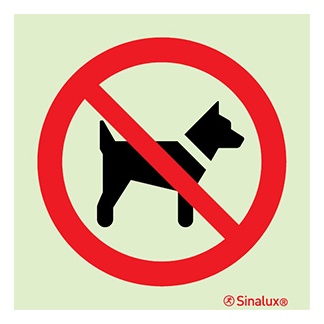 Signalisation une face, chiens interdits, PVC photoluminescent