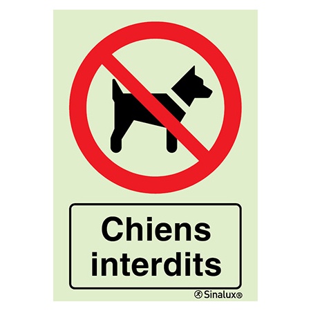 Signalisation une face, chiens interdits – avec texte, PVC photoluminescent