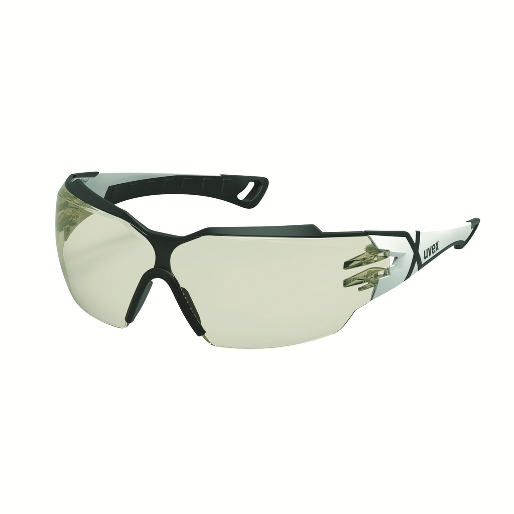 [9198064] Lunettes uvex pheos cx2 CBR 65 sv exc.