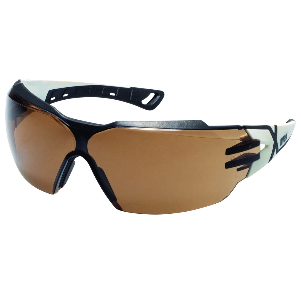 [9198223] Lunettes uvex pheos cx2 CBR23 sv excell.