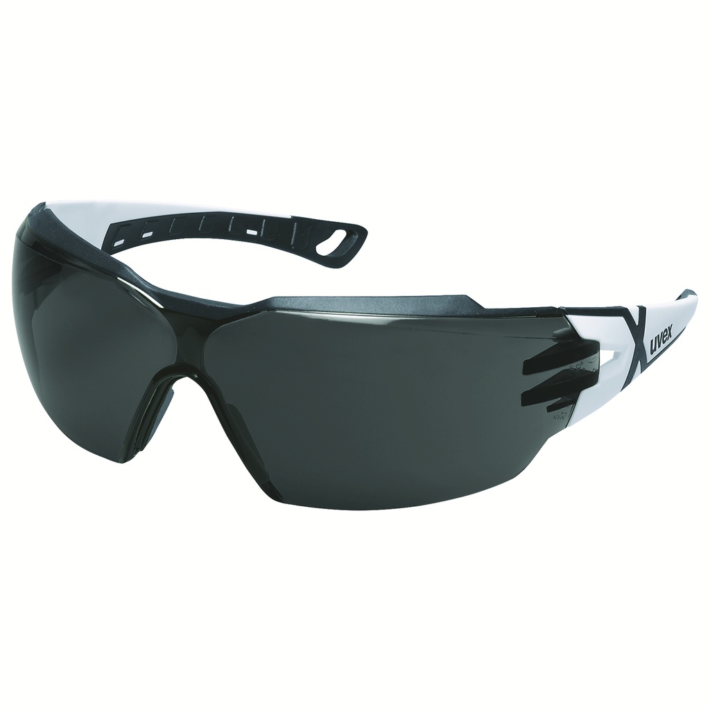 [9198230] Lunettes uvex pheos cx2 14% sv exc.