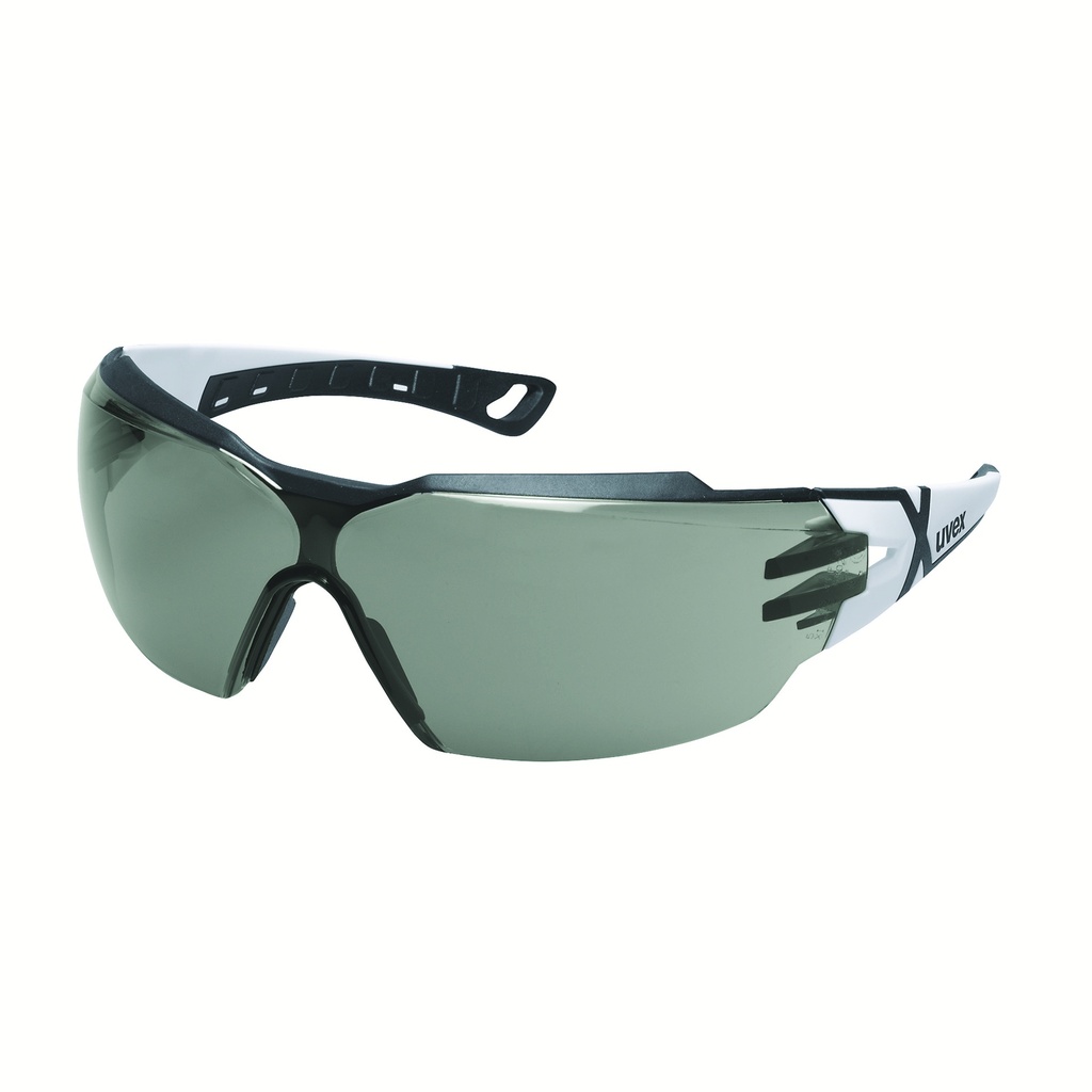 [9198237] Lunettes uvex pheos cx2 sv excell